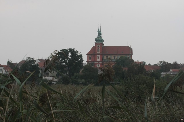 IMG_8594.jpg