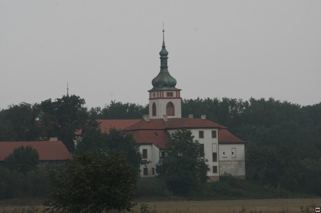 IMG_8596.jpg