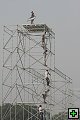 thn_IMG_8709.jpg